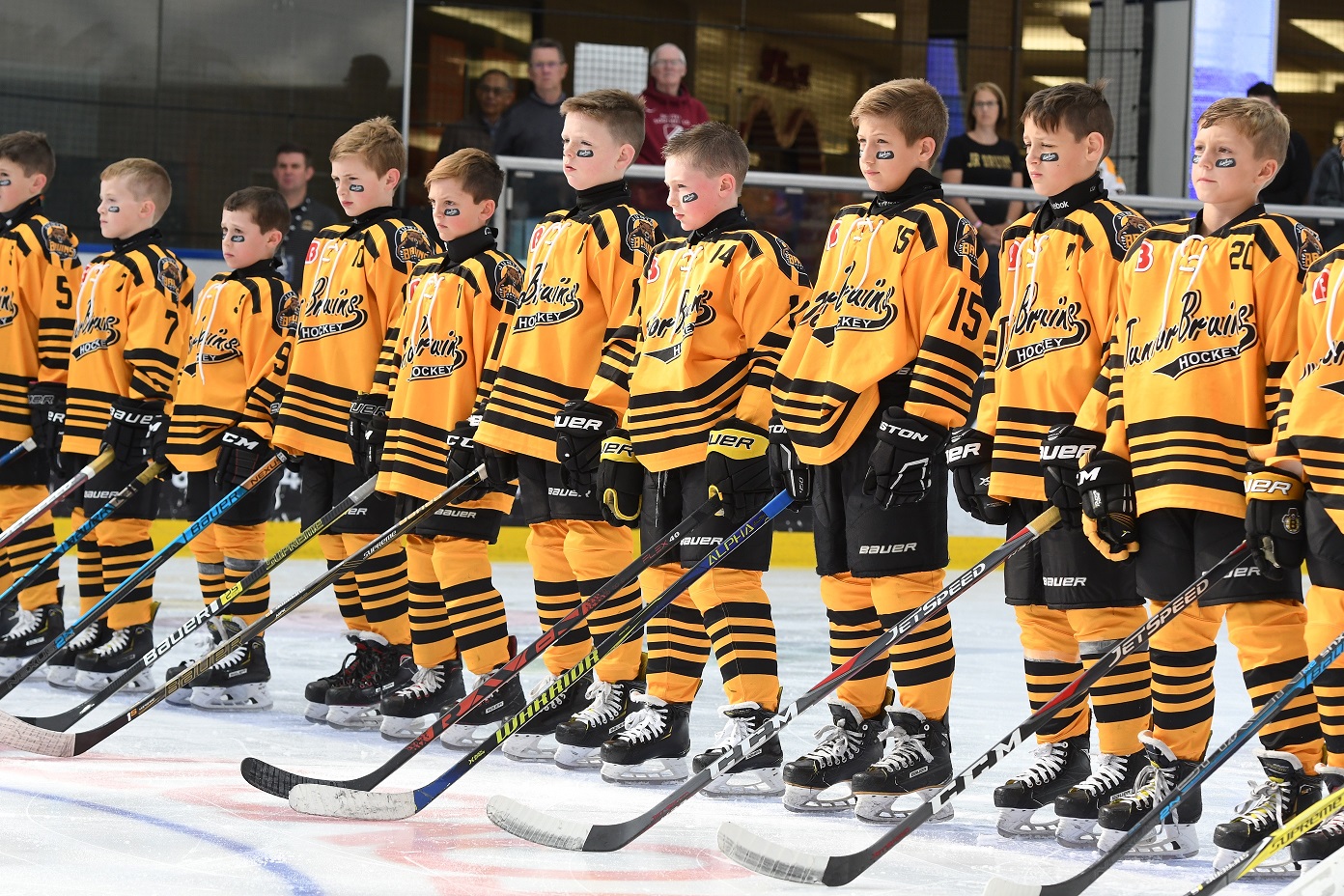 Brick Team Boston Junior Bruins